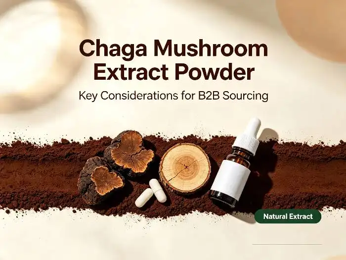 Bulk Chaga Mushroom Extract Powder Solutions for Global Nutraceutical and Wellness Ingredient Suppliers